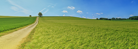 ����HL8��(�й���)����