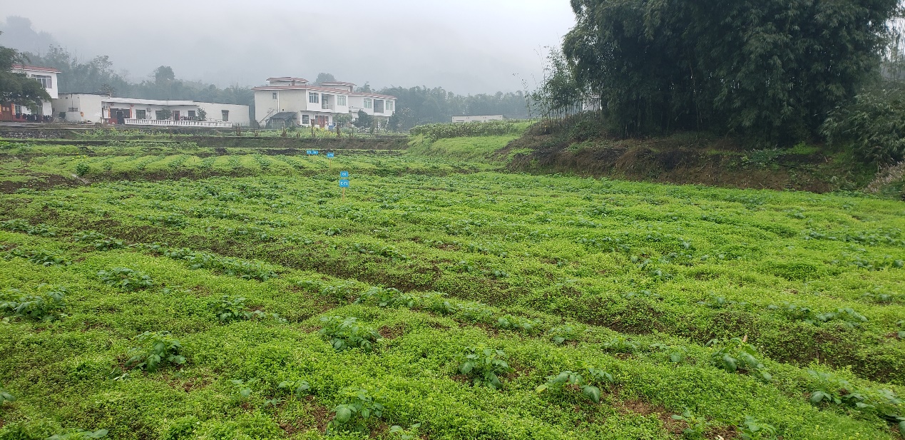 �˱��н����������޸���Ŀ