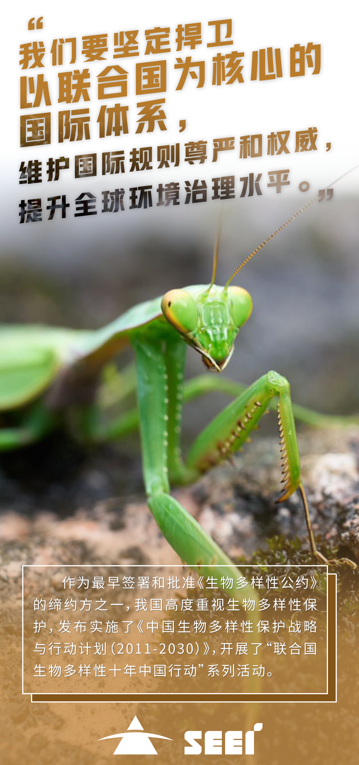 6�Ĵ�����hl888����-������