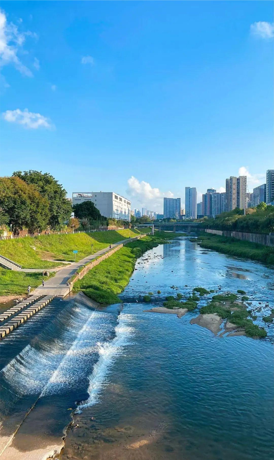 �����й������ǻ۹�����Ŀ