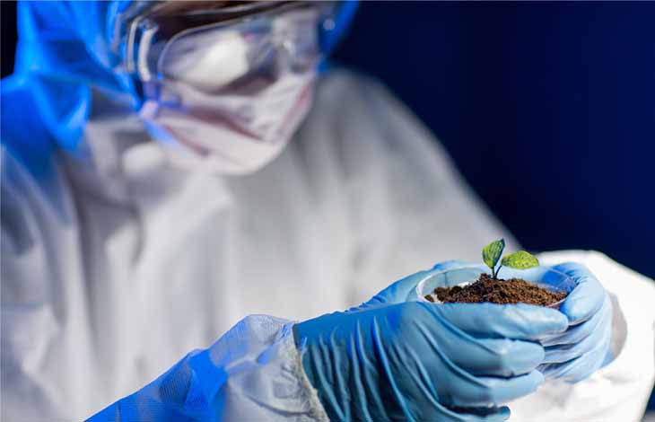 ����HL8��(�й���)����