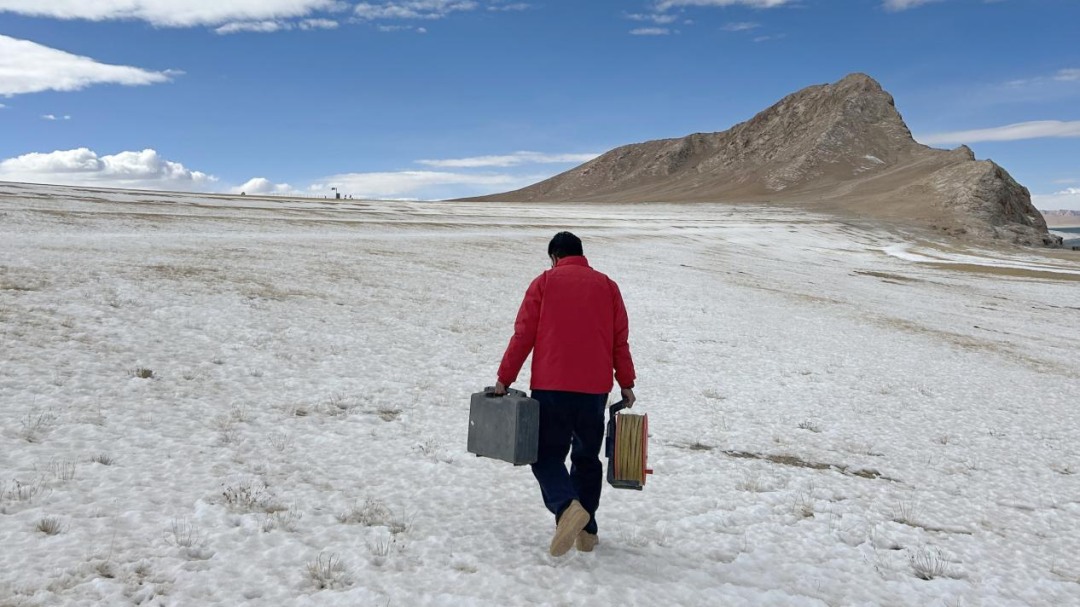 ����HL8��(�й���)����